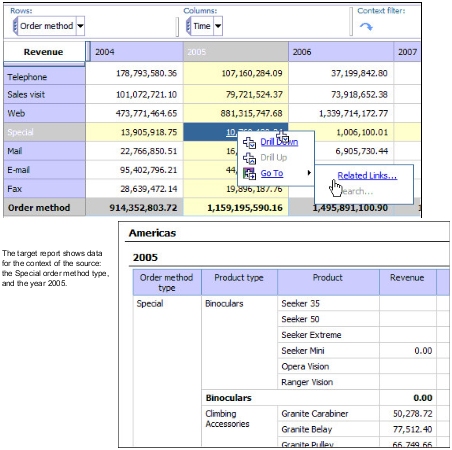 Screen shot showing the target report with data for the context of the source. The revenues for various products are shown.